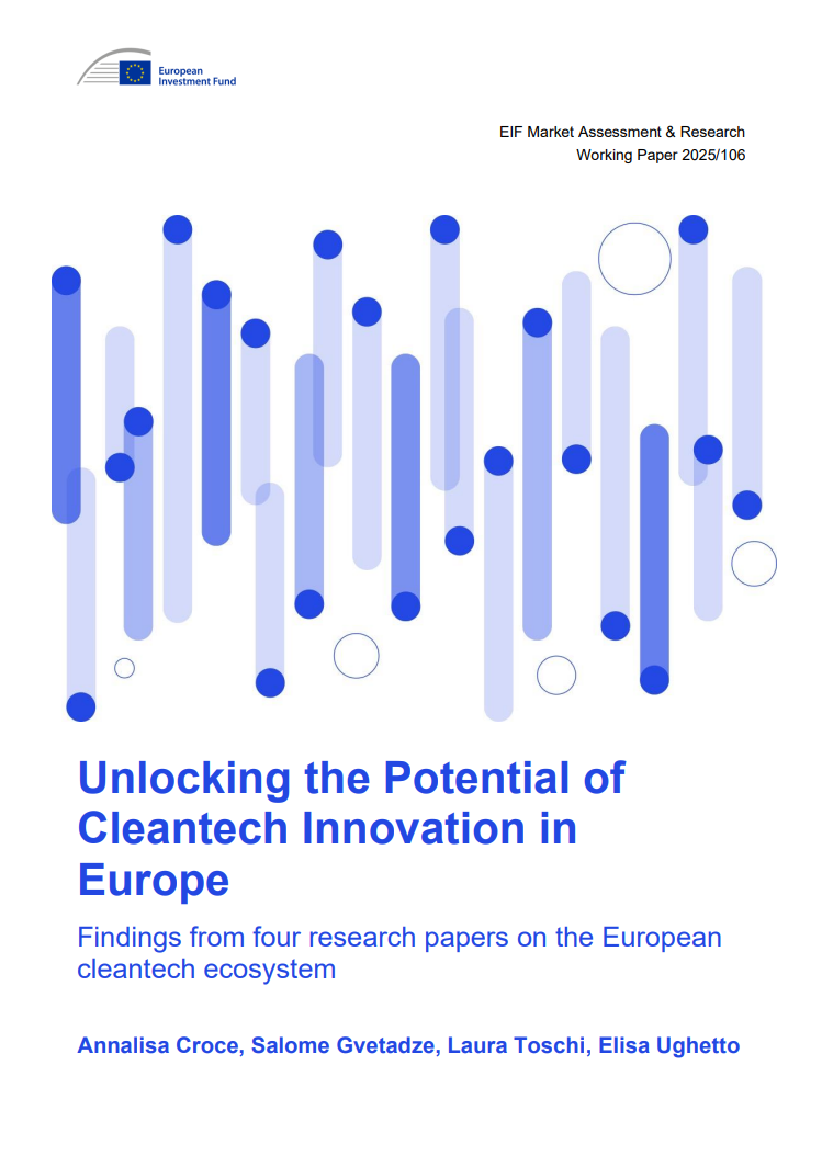 eif-working-paper-2025-106.png