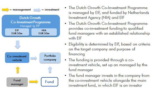 How does the Dutch Growth Co-Investment Programme work?